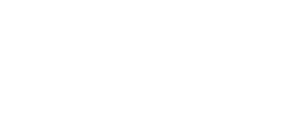 Leapmotor